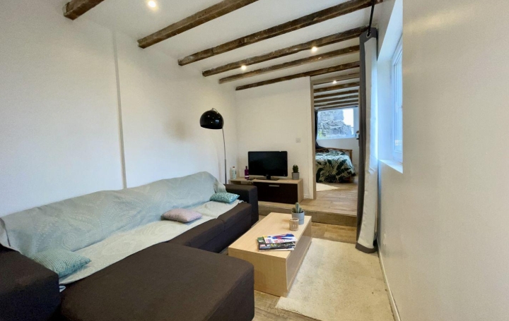NEMOZ IMMOBILIER : Apartment | TALLOIRES (74290) | 30 m2 | 131 500 € 