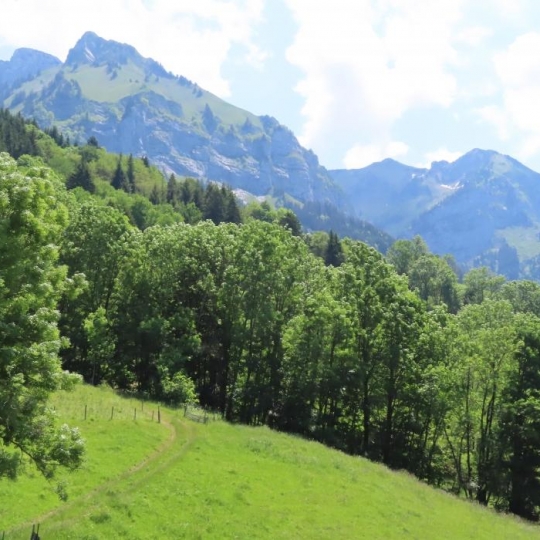  NEMOZ IMMOBILIER : Apartment | TALLOIRES (74290) | 77 m2 | 194 250 € 