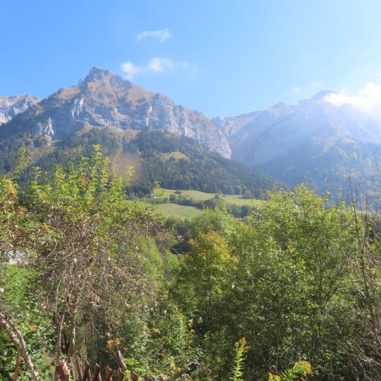  NEMOZ IMMOBILIER : Appartement | TALLOIRES (74290) | 30 m2 | 131 500 € 