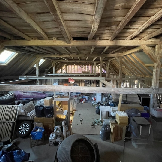  NEMOZ IMMOBILIER : Maison / Villa | DOUSSARD (74210) | 325 m2 | 780 000 € 
