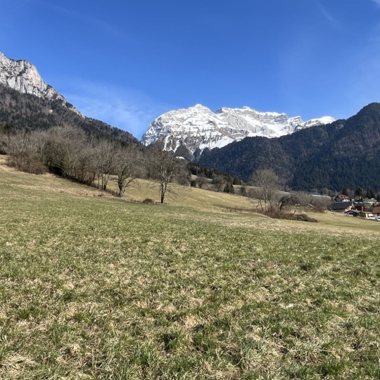  NEMOZ IMMOBILIER : Appartement | TALLOIRES (74290) | 100 m2 | 410 000 € 