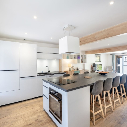  PARIS ANNECY l'Agence immobiliere : Apartment | ANNECY (74000) | 105 m2 | 545 000 &euro; 