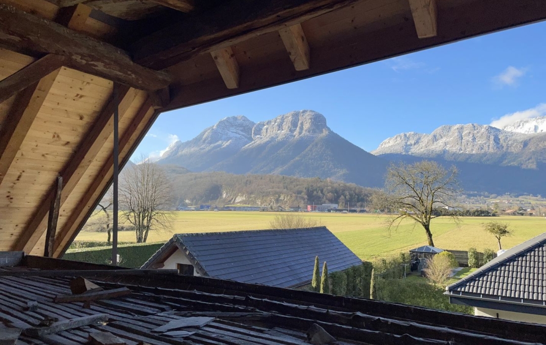 NEMOZ IMMOBILIER : Maison / Villa | DOUSSARD (74210) | 325 m2 | 780 000 € 