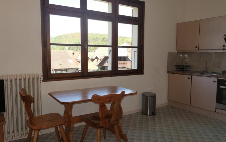 NEMOZ IMMOBILIER : Appartement | TALLOIRES (74290) | 40 m2 | 294 000 € 