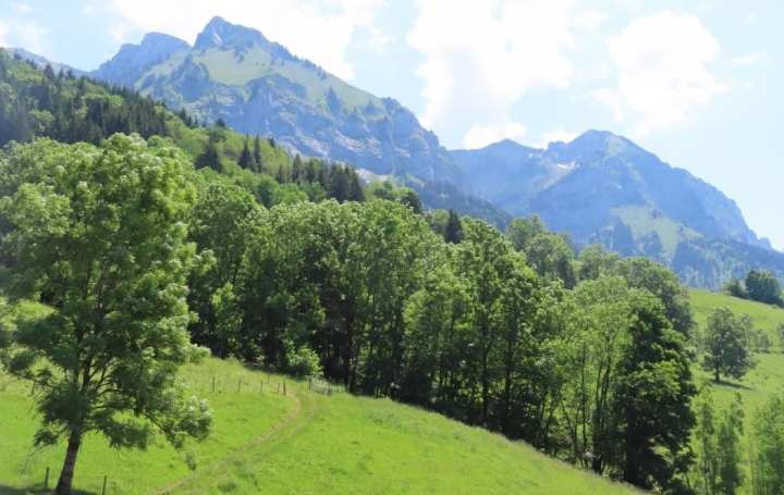 NEMOZ IMMOBILIER : Apartment | TALLOIRES (74290) | 77 m2 | 194 250 € 