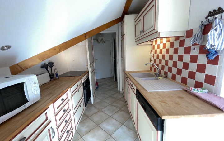 NEMOZ IMMOBILIER : Appartement | TALLOIRES (74290) | 52 m2 | 315 000 € 