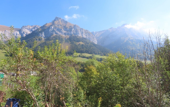 NEMOZ IMMOBILIER : Apartment | TALLOIRES (74290) | 30 m2 | 131 500 € 